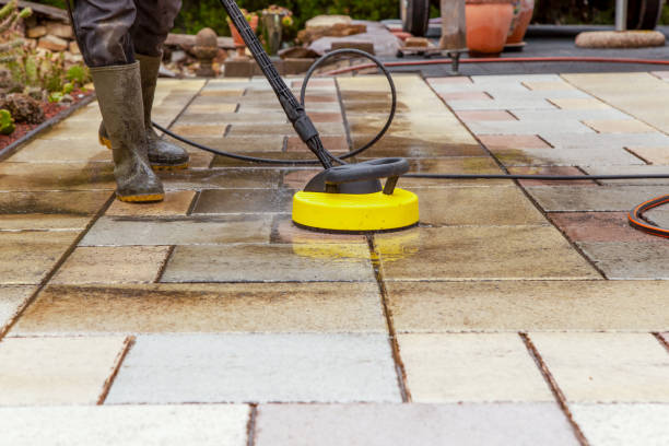 Best Sidewalk and Walkway Cleaning  in Port Huron, MI